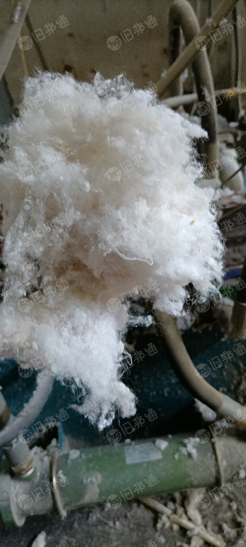 长期大量出售开松好的化纤棉,旧棉被开的,