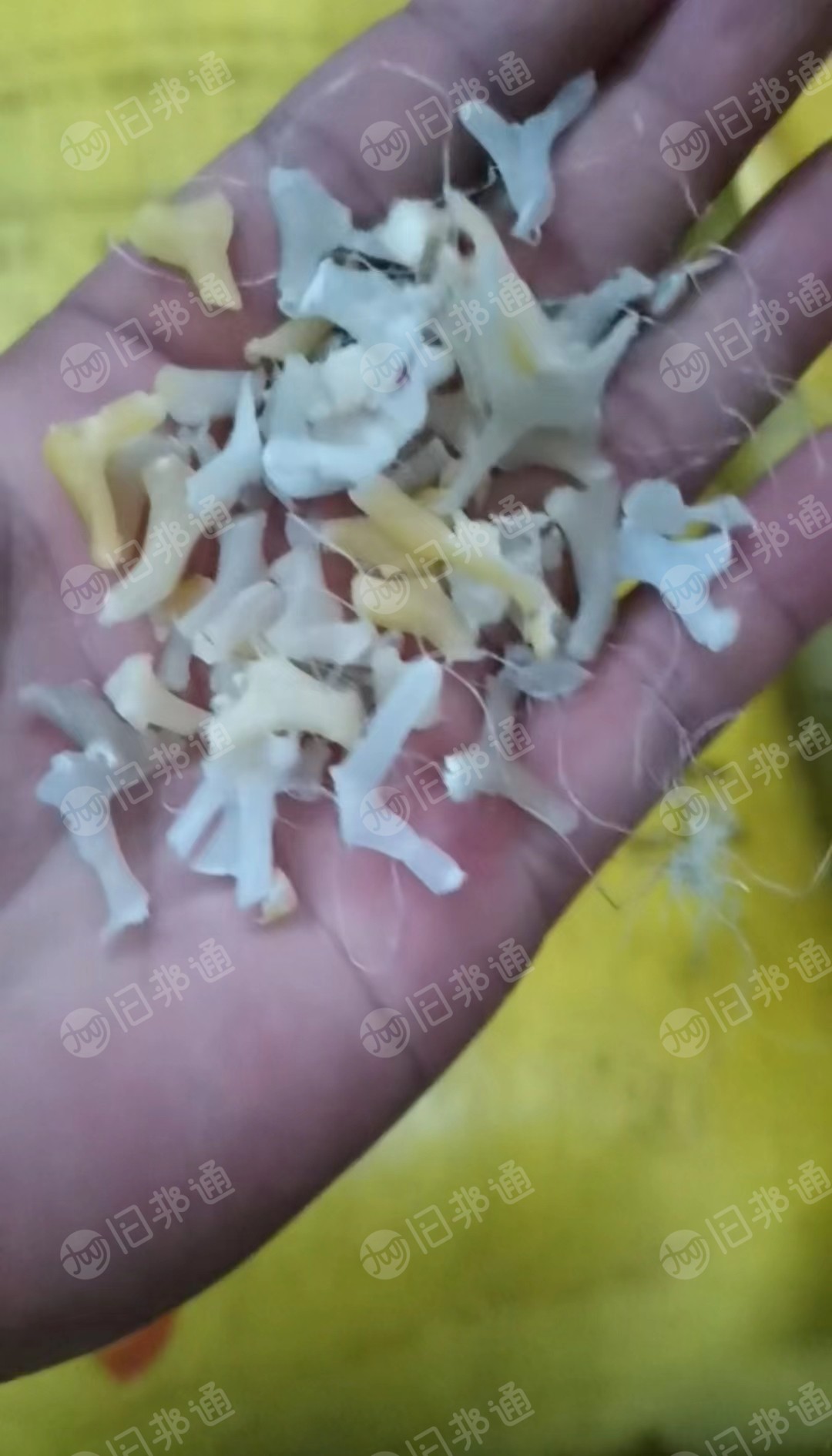 出售PE鸡网破碎料,沉底管道破碎料
