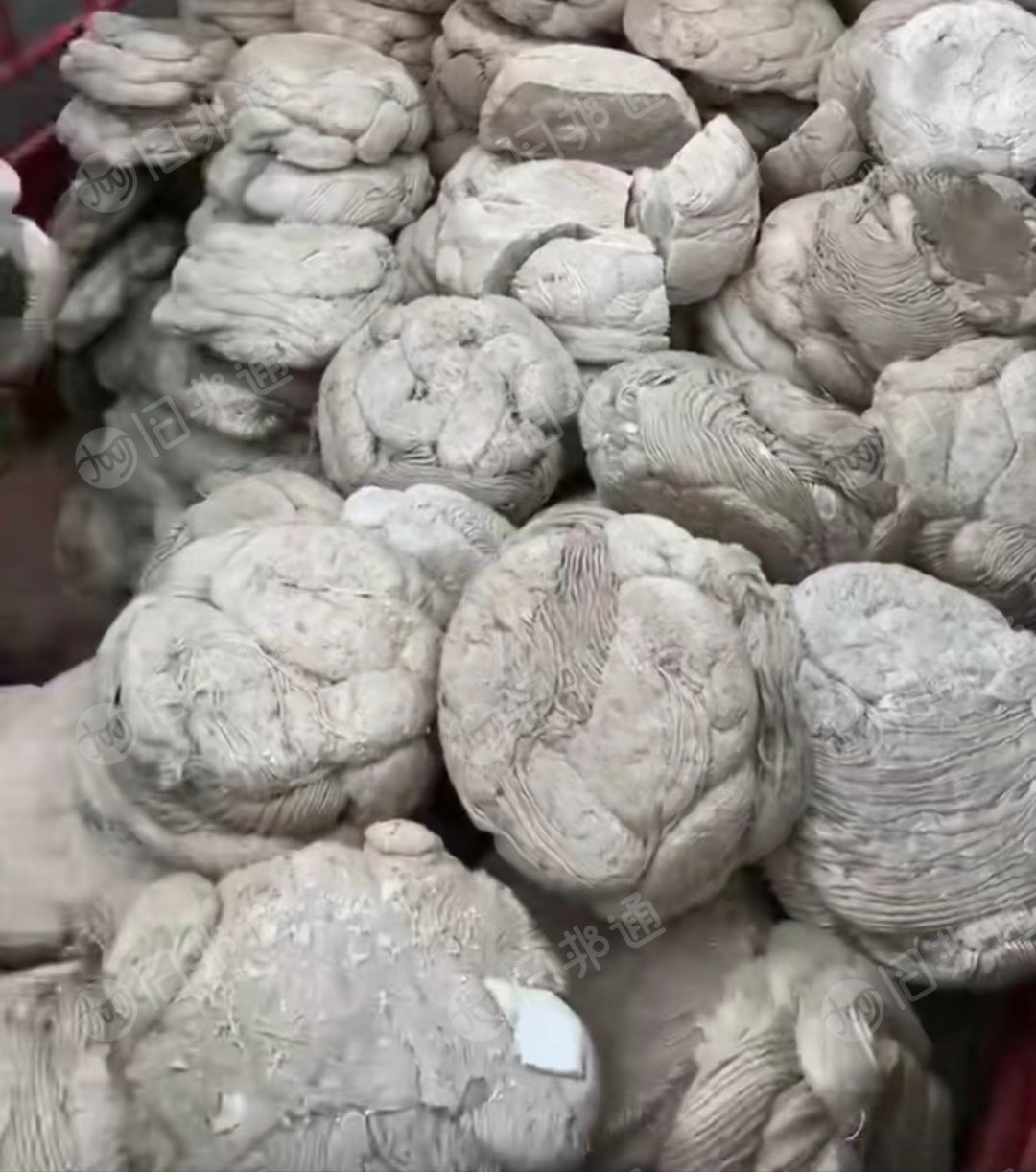 不限量收购EPS泡沫坨,热熔块,冷压块