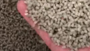 出售PA6渔网颗粒