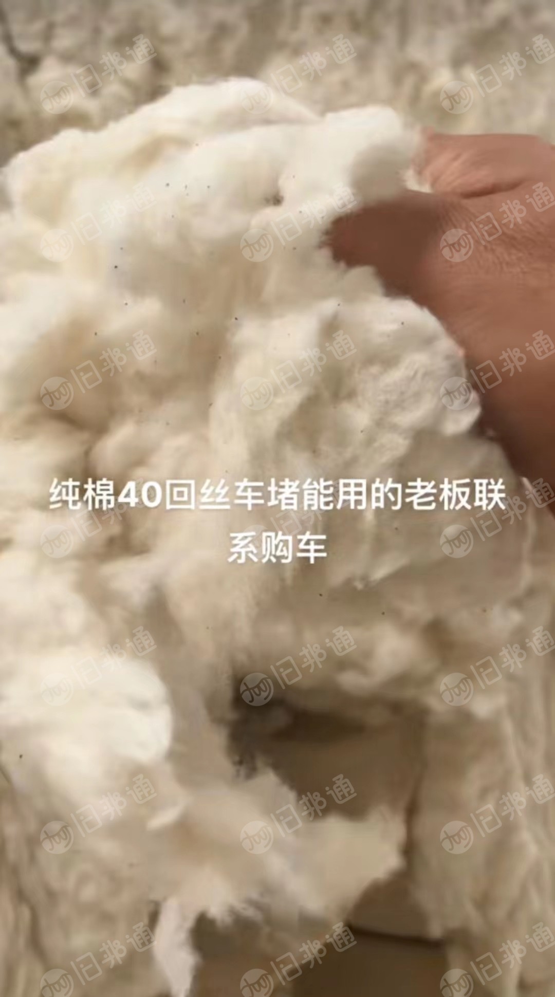 大量出售纯棉回丝车肚，可以用的老板联系！