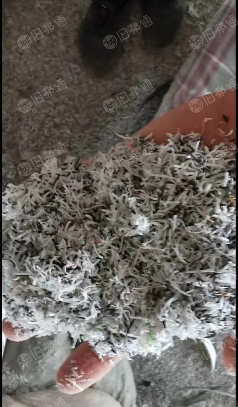 大量现金回收PVC封边条沫子,封边条废料