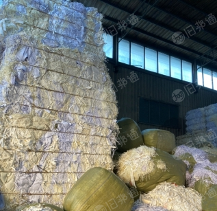 大量出售双胶白纸,米色双胶白纸