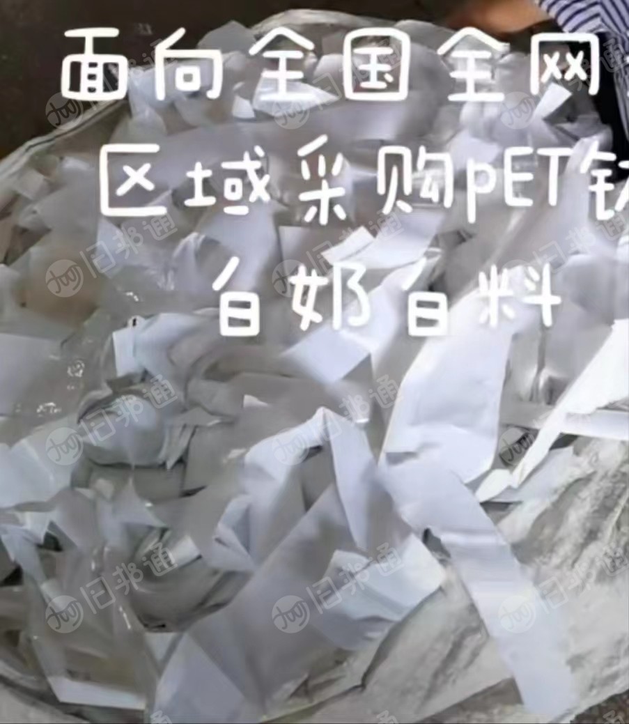 采购PET电子膜,PET滑膜,PET薄膜,PET钛白奶白膜等