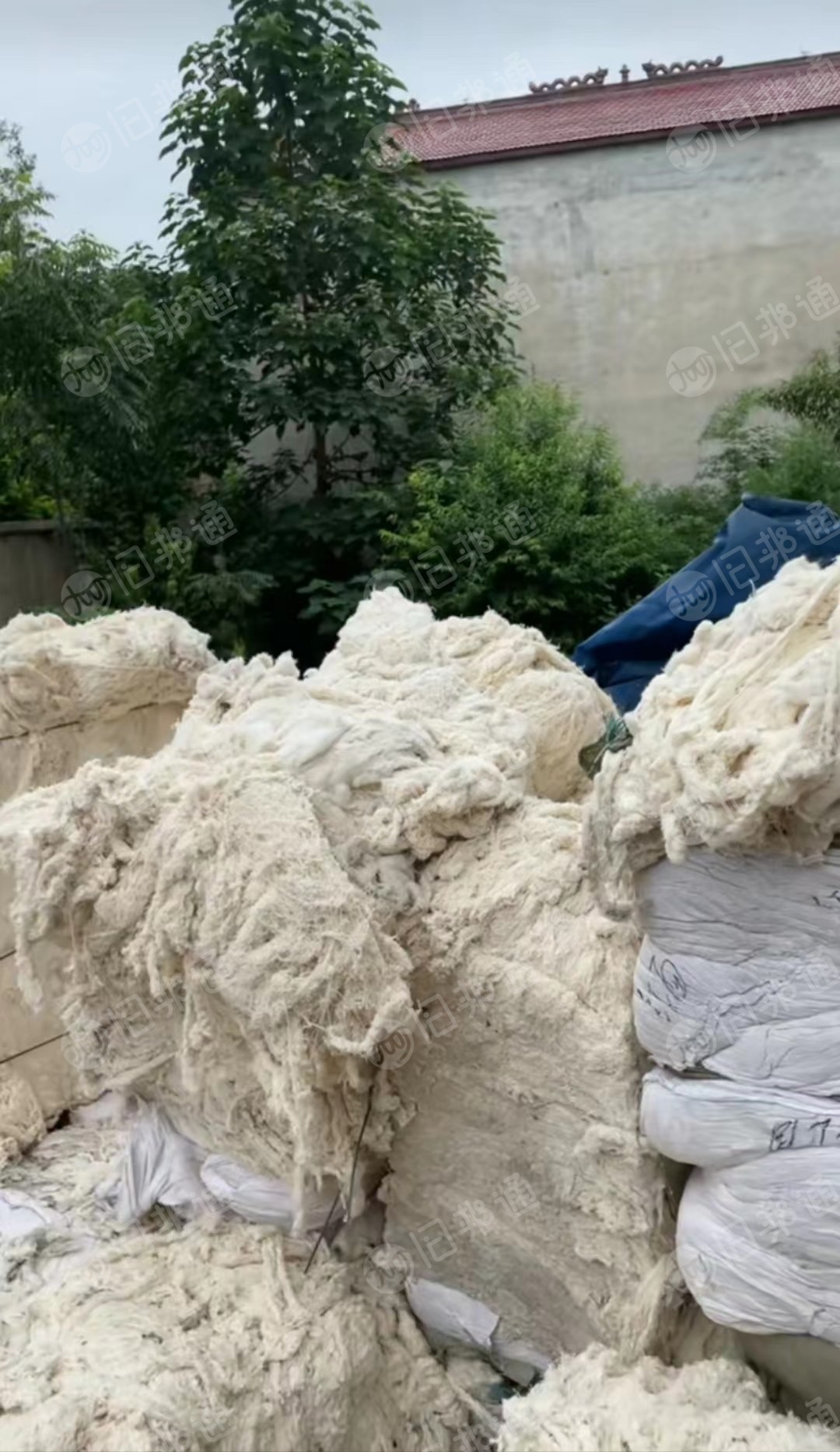 河南长期长期供应新疆包皮布,扫地花,风箱!