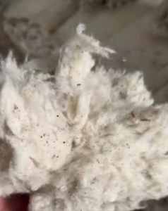 环纺40下来的纯棉车肚，现货60吨，价格不高。