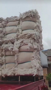 长期供应气流纺原料，纺纱用棉，车肚现货，棉絮用棉！