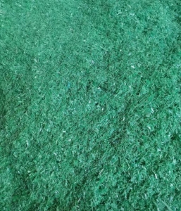 长年出售绿色PET打包带破碎料，月供上百吨