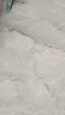 长期出售芯体提净棉,化纤棉,用于热压毡,保温毡,棉絮片材