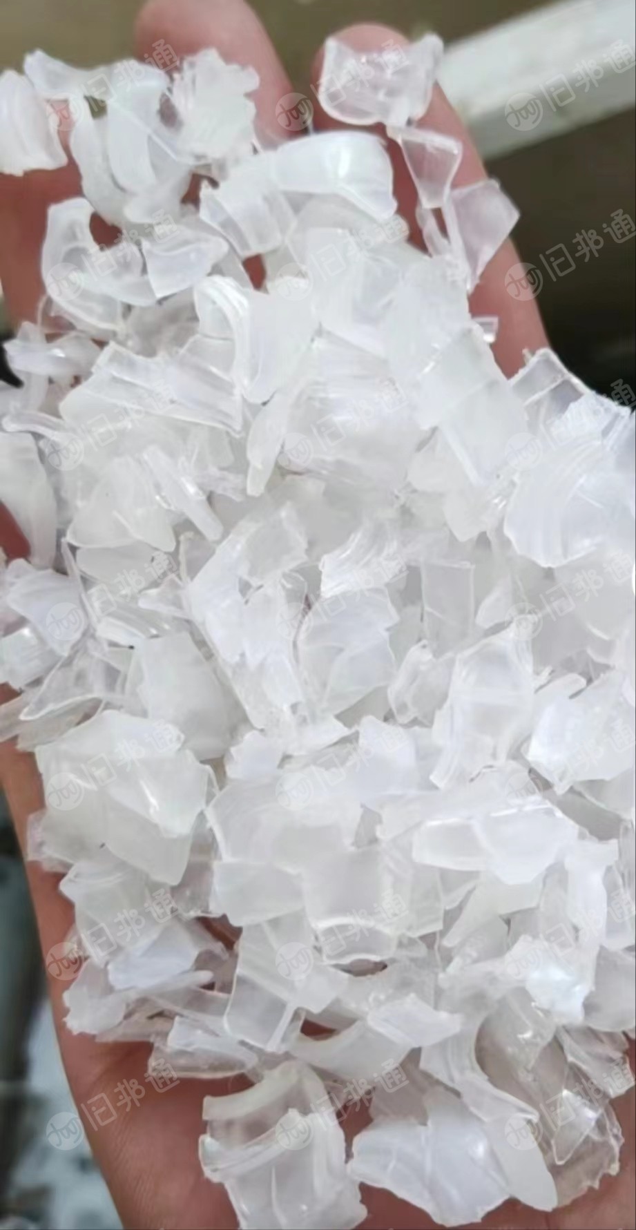 大量采购PP透明丙破碎料,白共聚丙破碎料