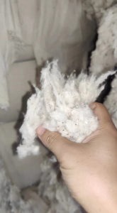 长期出售纯棉车肚，90棉，现货几十吨