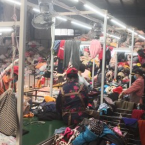 出售分拣好的夏装，冬装，白料，毛衣，羽绒，鞋，包！