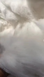 长期出售布块开花棉，牛仔布块开花棉