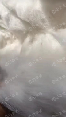 长期出售布块开花棉,牛仔布块开花棉