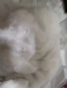 出售全白长丝70%涤30%粘胶丝棉,本公司每月出5吨以上!