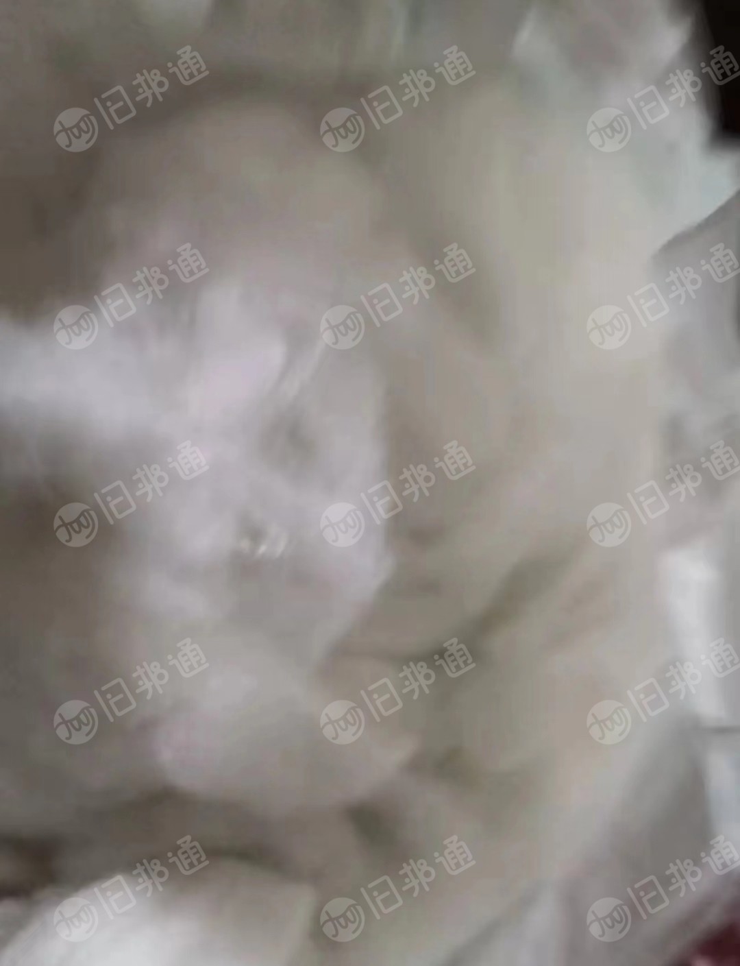 出售全白长丝70%涤30%粘胶丝棉,本公司每月出5吨以上!