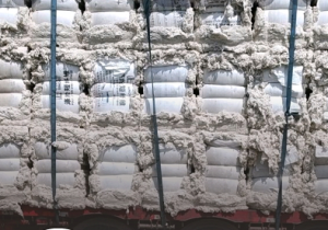 长期出售大化，纯棉，涤棉，车肚，斩刀，破籽