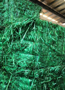 长期出售PET打包带毛料