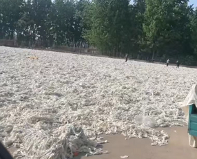 长期大量出售增白牛仔布，原白牛仔布边角料