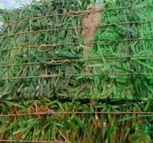 常年出售PET打包带毛料