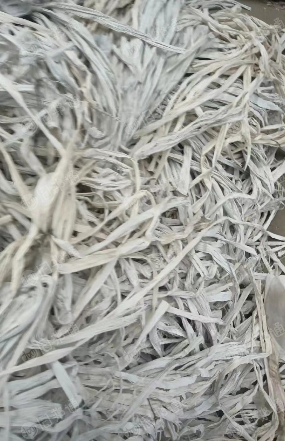 常年大量回收沉底PP打包带毛料,PP电缆填充绳