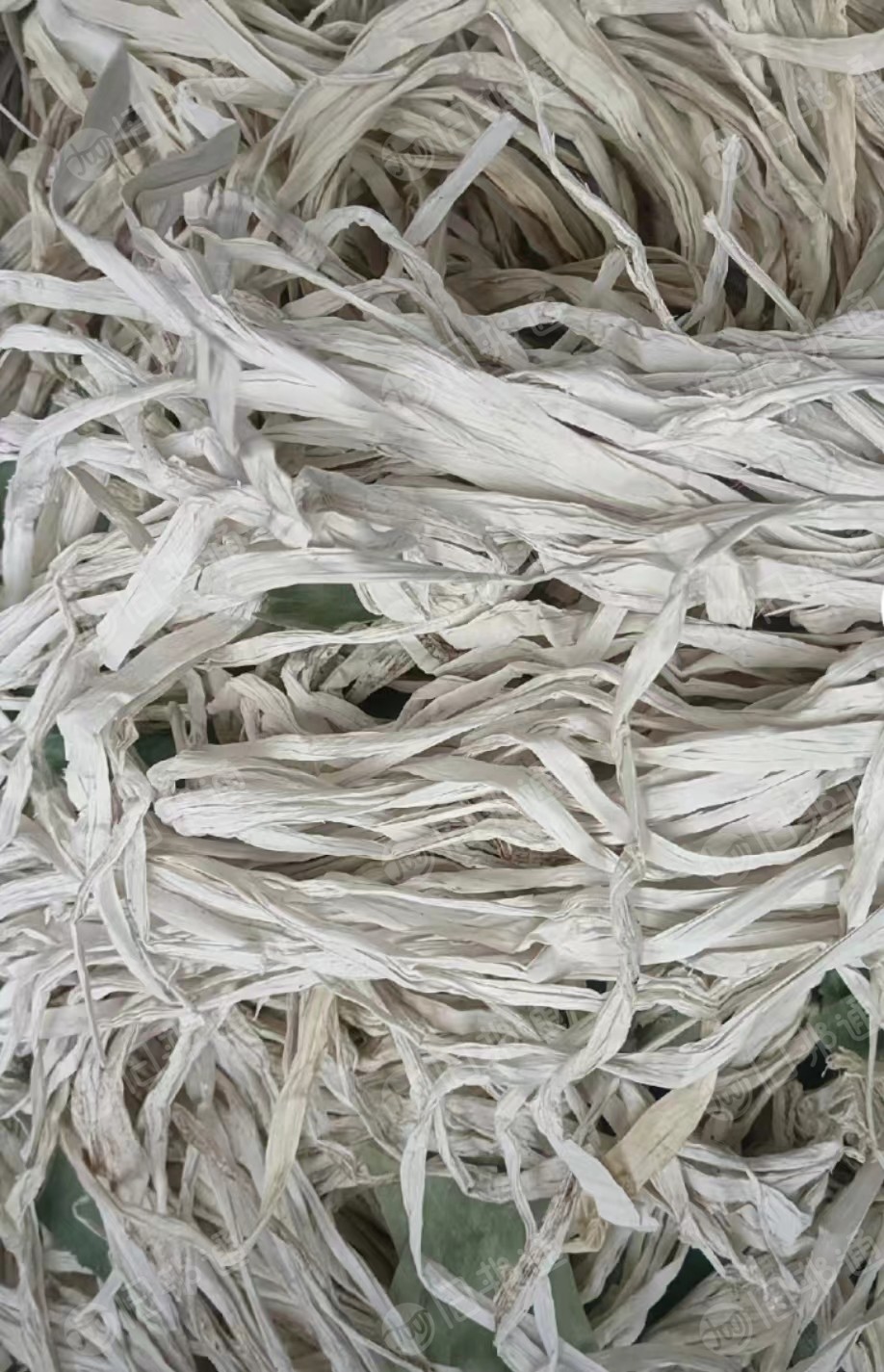 常年大量回收沉底PP打包带毛料,PP电缆填充绳