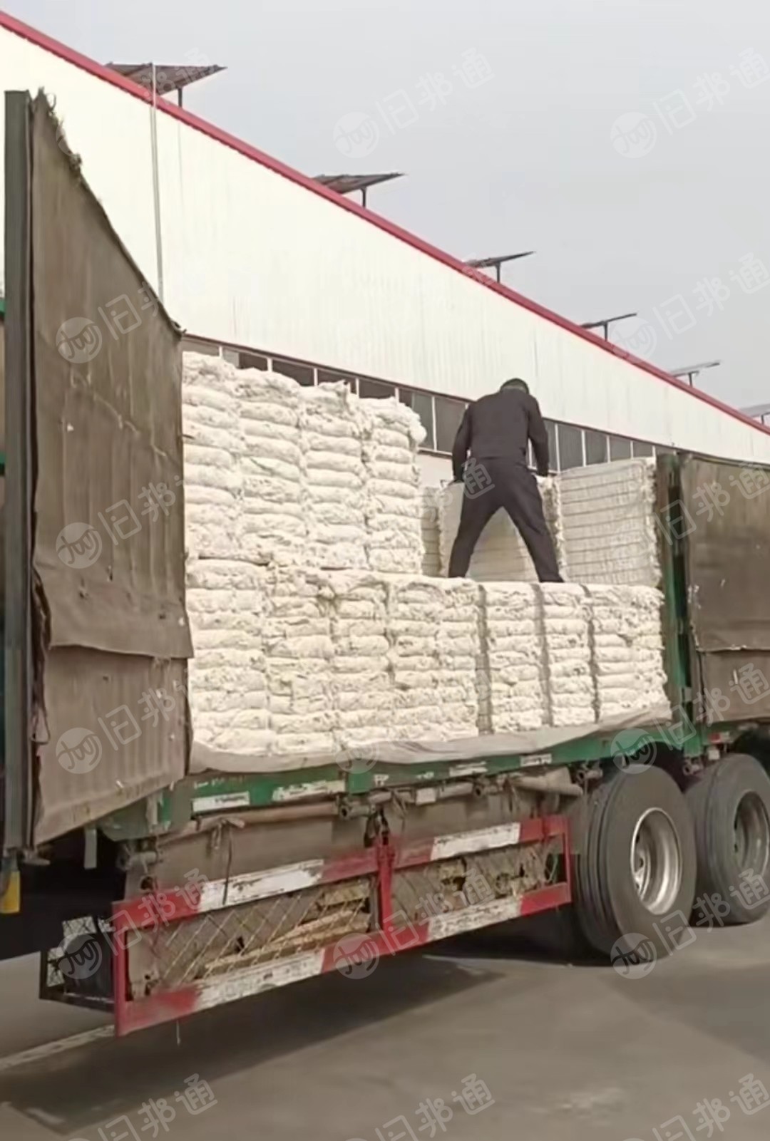 皮棉落棉高配32支下来的车肚到货色白杂少无三丝，现货100多吨！