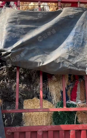 长期出售PP丙纶废丝,尼龙地毯料,废丝