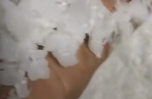 大量出售PE高低压白管破碎料