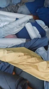 长期出售化纤涤纶，氨纶造粒布，棉布开花布料