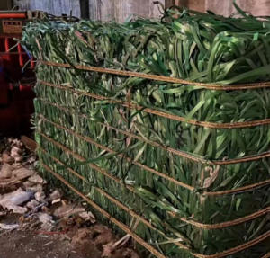 大量出售PET打包带毛料