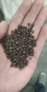 供应纸浆颗粒，韧性好，白点少，无杂质，全漂