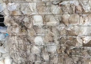 常年出售透明丙压块，饭盒压块