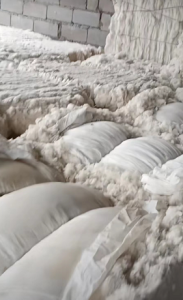 出售纯棉开松料，可纺纱，可絮棉，欢迎来电谈