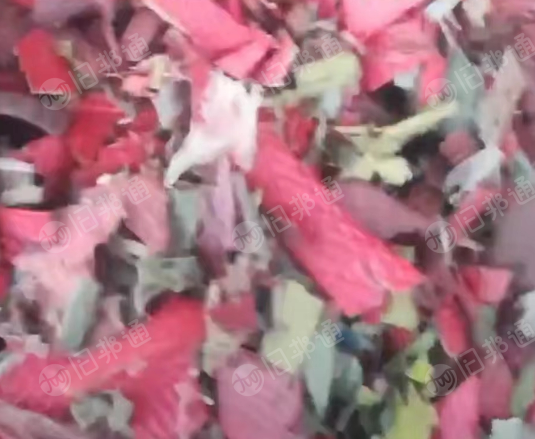 常年出售PP打包带破碎料