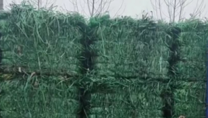 常年出售PET打包带毛料