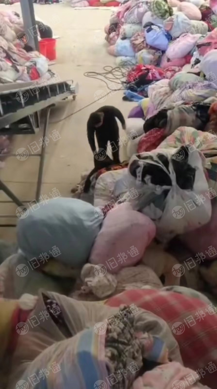 本公司长期供应旧衣服,旧鞋旧包等!