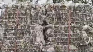 长期出售二白膜废料