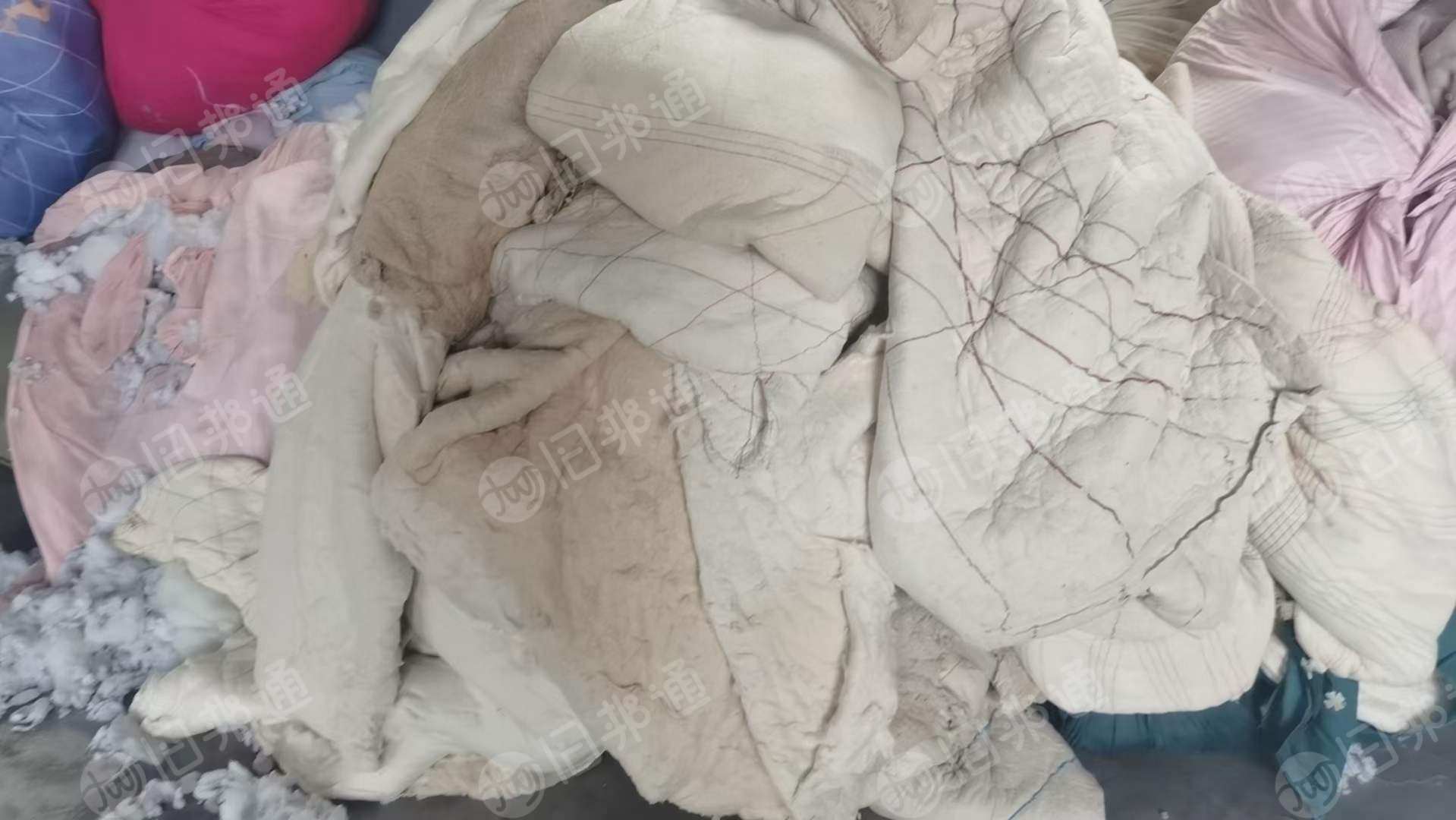 长期收购优质丝绵,棉花,化纤棉,统货旧棉被等,现金收购