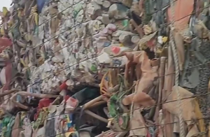 长期出售花乙压块，白乙压块