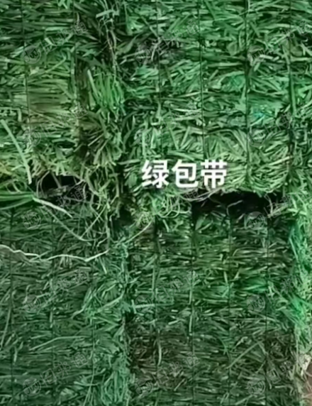 出售PET打包带毛料