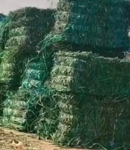 长期大量求购PET打包带毛料