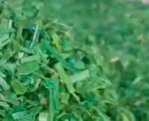 常年出售PET打包带破碎料