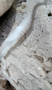 大量收购冷压块，热熔块，泡沫坨等，装车打款