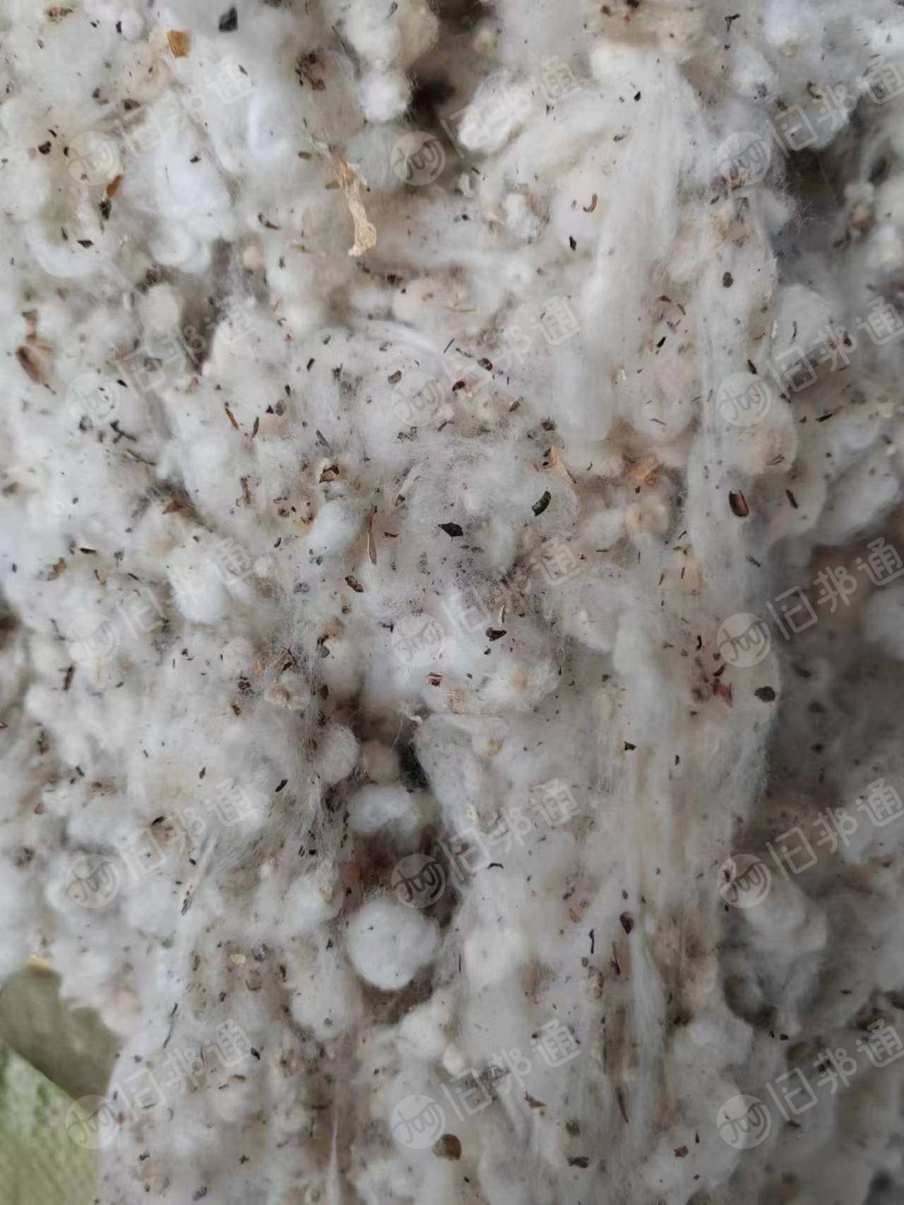 出售不孕籽棉,现货20吨