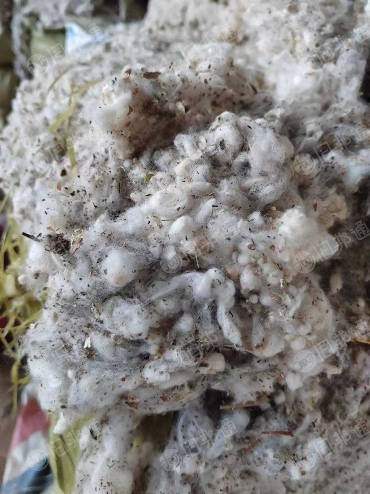 出售不孕籽棉,现货20吨