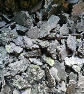 求购镍板，纯镍，镍带，镍丝，镍纸，各种含镍的废料