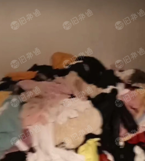 河南信阳长期供应旧衣服统货,棉花!