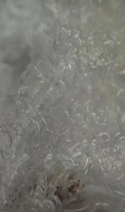 回收工业废丝，开刀丝，弹丝，氨纶废丝，涤锦复合丝，