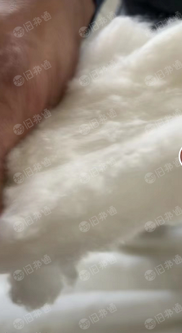 常年出售小白棉,化纤棉,用于针刺,土工布,无纺布,棉胎等